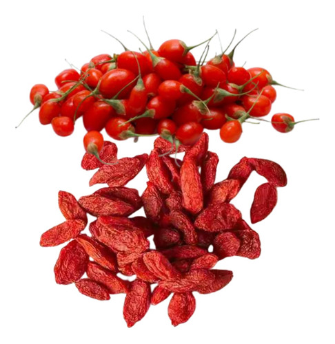 Goji Berry Bayas Pasas Rojas Deshidratadas 250 Gr China 