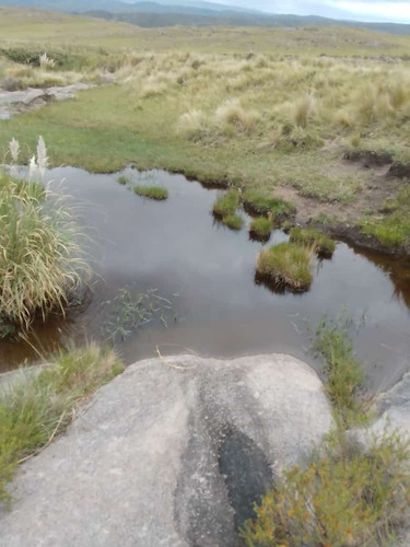 Terreno 1 Hectárea Paso Del Rey , Éjido Trapiche,san Luis Argentina