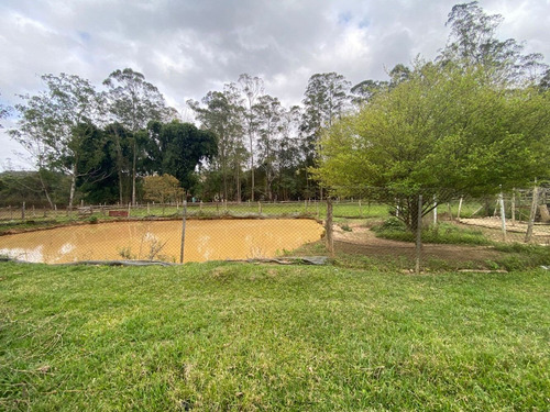 Imagem 2 de 3 de A.a No Futuro Você Agradecer Por Essa Compra!