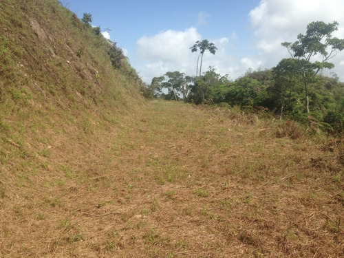 Terreno !bajo De Precio !en San Antonio, Carretera El Limón