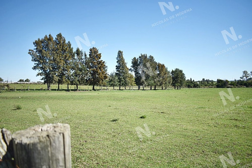Imagen 7 de 19 de Chacra San Carlos Ruta 9 - San Carlos San Carlos