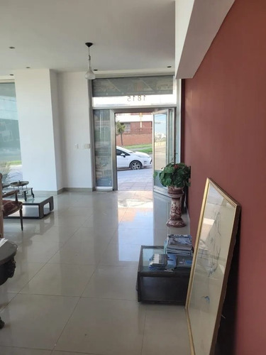 Imagen 4 de 10 de Venta Local Frente Al Mar, Punta Mogotes!