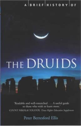 A Brief History Of The Druids / Peter Ellis