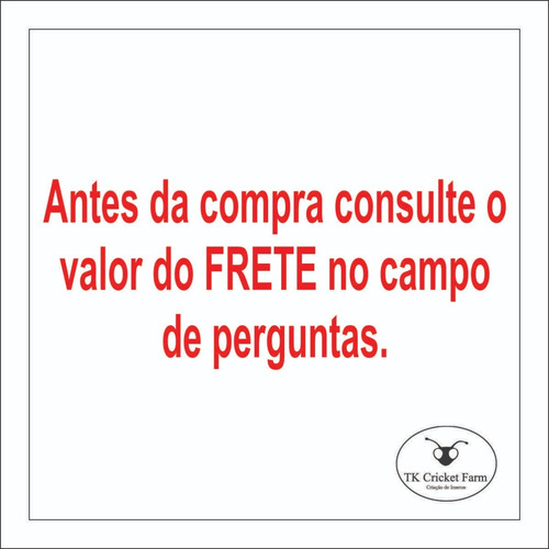 Imagem 2 de 6 de Grilo Vivo Alimentação Animal 50un