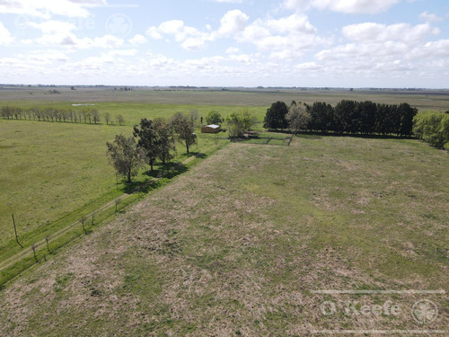 Campo En Venta 133 Has En Magdalena - Mixto.