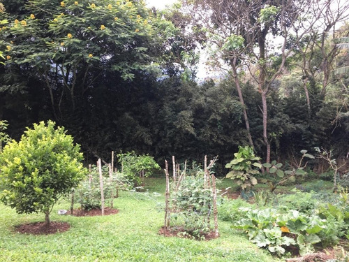 Imagen 10 de 11 de Hermosa Finca En Felidia, Cali, Vereda El Cedral Valle Del Cauca