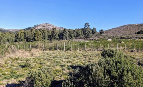 Oportunidad En Tandil, Venta De Excelente Terreno! Con Una Vista Única A Las Sierras, Arbolado, En El Barrio Golf - Los Cardos, Sobre Asfalto, Escrituración Inmediatal