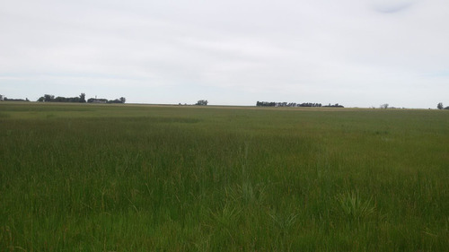 Campo En Venta En General López