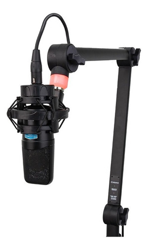Soporte Brazo Articulado Microfono Alctron Ma616 M