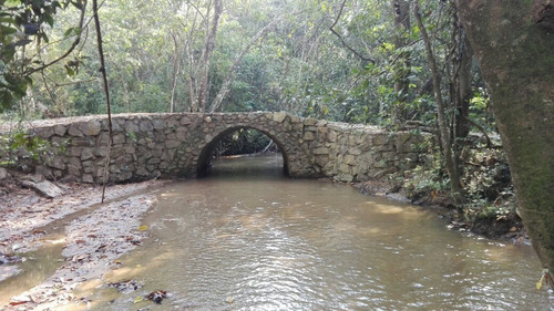 Imagen 7 de 14 de Rancho En El Tuito Jalisco, 21 Ha.