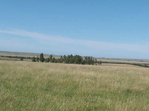 Excelente Estancia Ganadera 2881 Hectareas