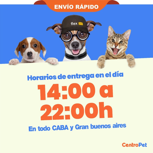 Imagen 8 de 8 de Arena Chinchilla Baño Roedores Jerbos Hamsters Sustrato X1