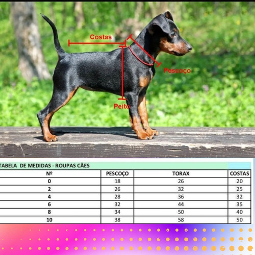 Roupinha Cachorro Camisa Copa Persoanlizado Com Nome Tam 0