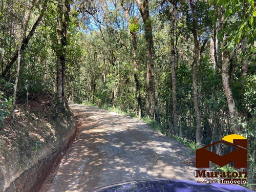 Imagem 10 de 15 de Terreno Em Residencial Fechado - 2084
