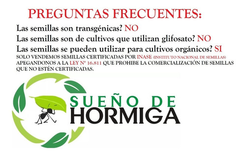 Imagen 3 de 4 de Semillas De Cebolla De Verdeo Colorada