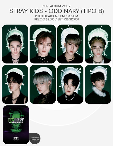 Stray Kids - Oddinary (set Photocards Fanmade)