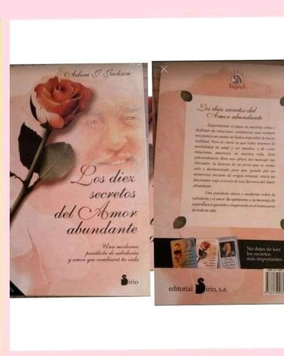 Libro Los Diez Secretos Del Amor Abundante