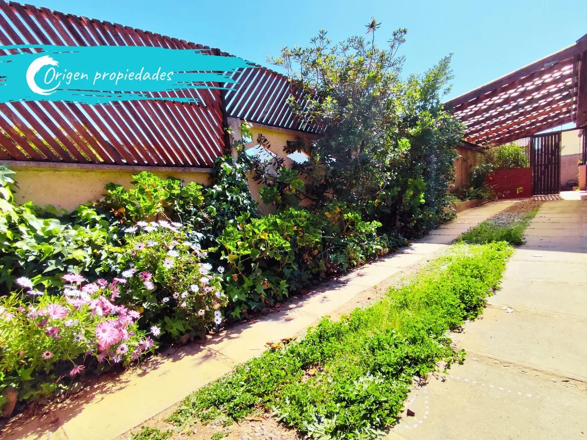 Imagen 4 de 21 de Casa A Cuadras Parque El Canelo, Barrio Turístico Algarrobo