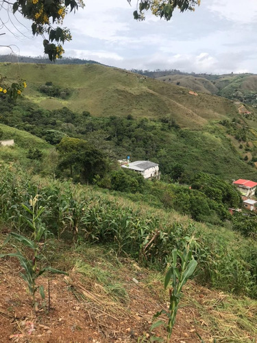 Imagen 2 de 5 de Terreno En Venta