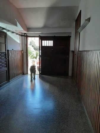 Imagen 13 de 27 de Venta Chalet En Mar Del Plata