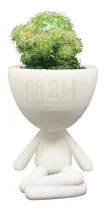 Comprar Maceta Robert Plant Cactus Suculentas Varios Modelos Caba
