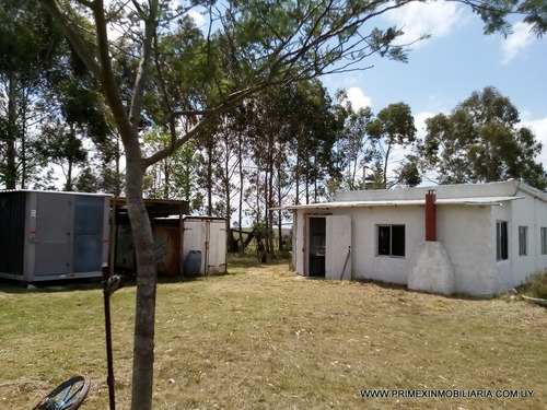 Venta Chacra Con Casa En Garzón