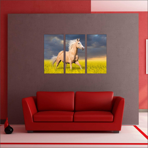 Quadro Cavalo Animais Colorido Campo 3 Peças Salas Moldura