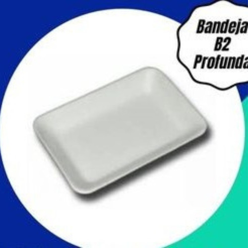 Bandeja De Anime B2 Profunda 500und