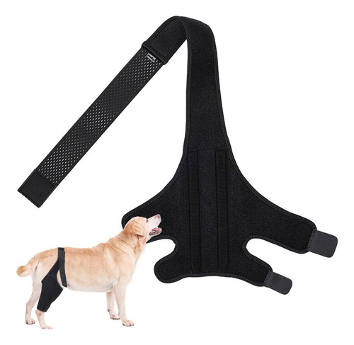 Rodillera Para Perro Soporte Para Displasia De Cadera Para P