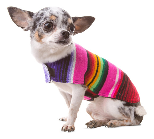 Ropa Para Perros Poncho Para Perros Hecho A Mano Disfraz De