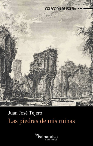 Las Piedras De Mis Ruinas (libro Original)