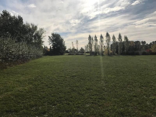 Imagen 8 de 10 de Pintoresca Chacra En Venta En Loma Escondida - Open Door - Mallmann Propiedades