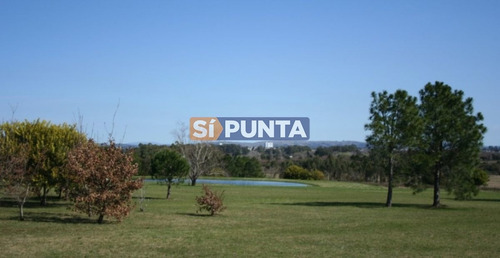 Imagen 11 de 11 de Chacra En Venta - Camino Cerro Eguzquiza