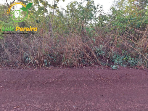 Imagem 9 de 12 de Fazenda À Venda Em Abreulândia - 696,96 Hectares (dupla Aptidão) - 2023
