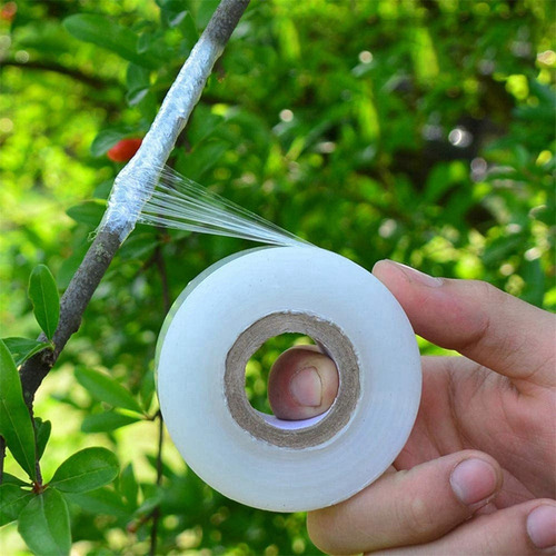 Cinta De Injerto De 20 Rollos Para Vivero De Árboles Frutale