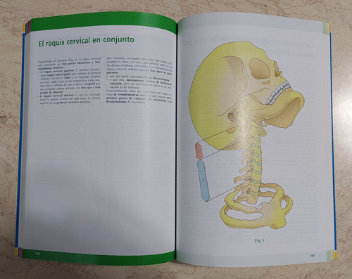 Fisiología Articular - Kapandji - Tomo 3 - 6° Edición (Usado)