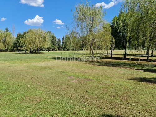 Imagen 6 de 28 de Terreno Fraccion En Venta Ubicado En General Rodríguez, G.b.a. Zona Oeste