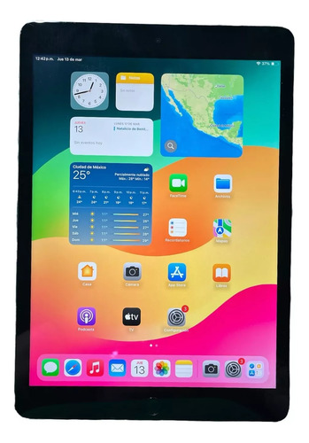 Tablet Apple iPad 9na Gen 10.2'' Wifi 256gb Gris Espacial (Usado)