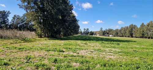 Venta Chacra 28 Ha Abayuba Arroyo Y 2 Tajamares C.rigel
