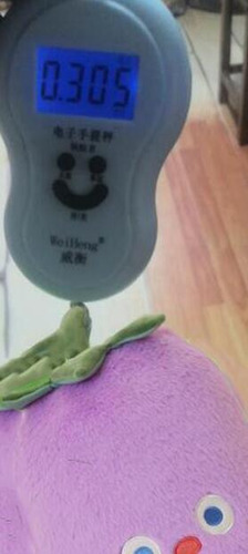 Decoración De Frutas Y Verduras, Muñeca De Berenjena, Decora