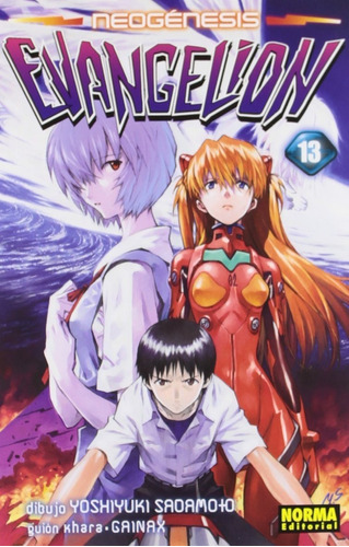 Neogenesis Evangelion No. 13