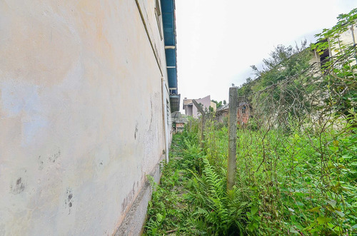 Imagem 19 de 30 de Terreno - Residencial - 923808