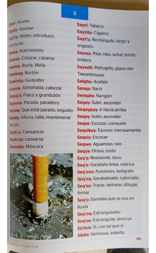 Diccionario Acceso Total