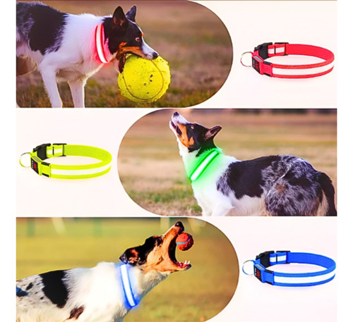 Collar Para Mascota Con Luz De Pila Usb