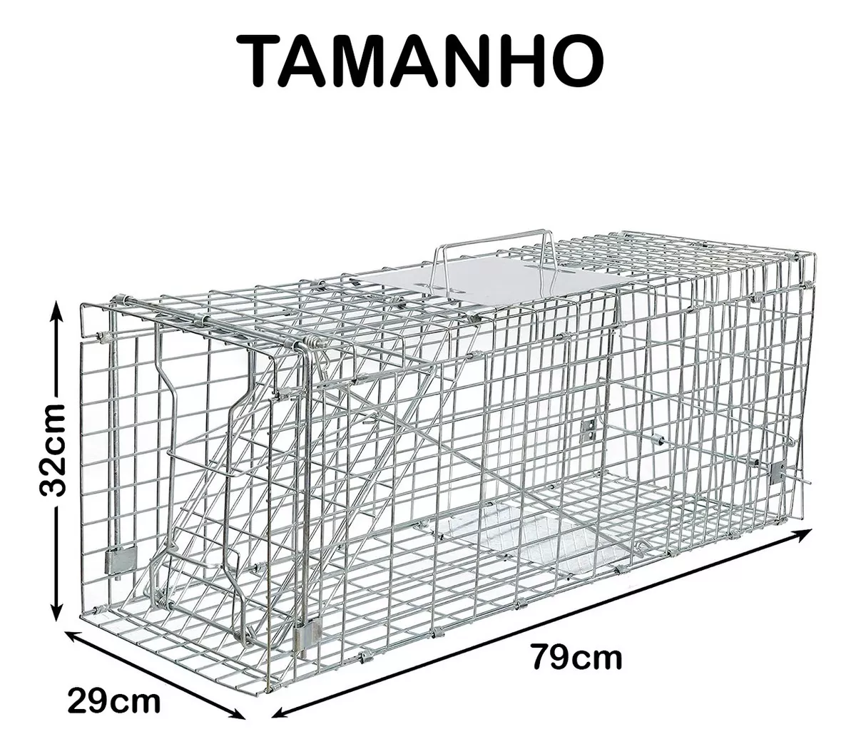 Segunda imagem para pesquisa de gatoeira