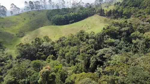 Vendo Permuto Finca Líbano Tolima