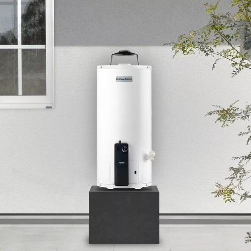 Boiler Calorex Fortis 20 Gal Lp Color Blanco