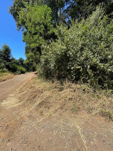 Venta De Propiedad En Camino A Las Termas De Chillán
