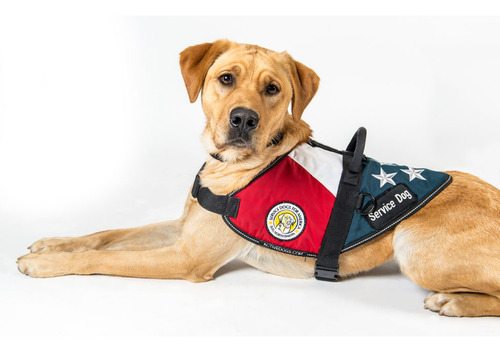 Certificado Service Dog Usa : Pet World Travel