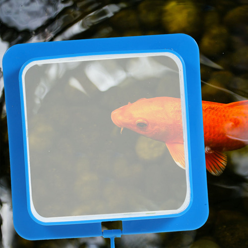Comedero Colgante Para Peces De Acuario, 2 Unidades, Herrami